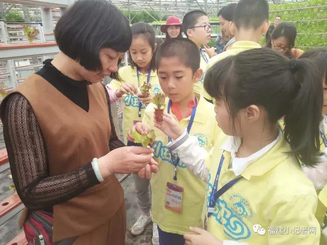 【圍觀】福建小記者走進農(nóng)場體驗農(nóng)耕樂趣