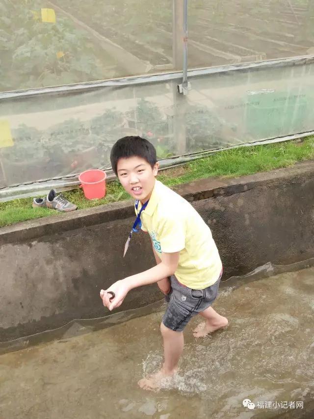 【圍觀】福建小記者走進農(nóng)場體驗農(nóng)耕樂趣