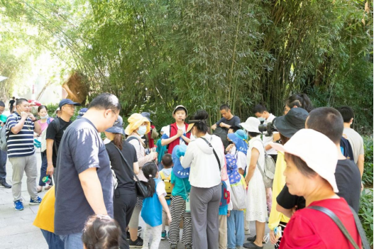 福州植物園舉辦“童眼觀生態(tài)”之“竹”夠有趣科普課堂活動